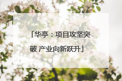 华亭：项目攻坚突破 产业向新跃升