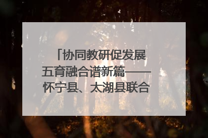 协同教研促发展 五育融合谱新篇——怀宁县、太湖县联合教研活动在月山镇中心学校成功举办