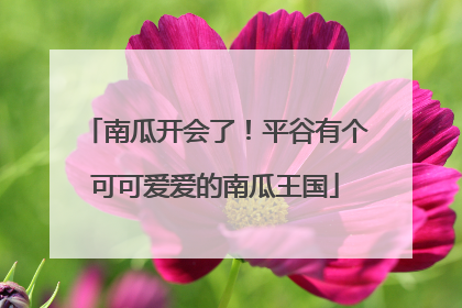 南瓜开会了！平谷有个可可爱爱的南瓜王国