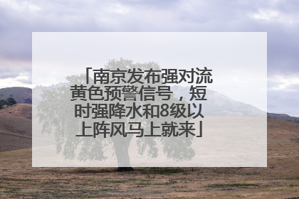 南京发布强对流黄色预警信号，短时强降水和8级以上阵风马上就来