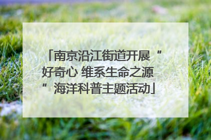 南京沿江街道开展“好奇心 维系生命之源”海洋科普主题活动