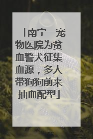 南宁一宠物医院为贫血警犬征集血源，多人带狗狗前来抽血配型