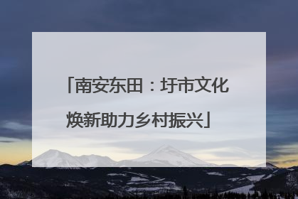 南安东田：圩市文化焕新助力乡村振兴