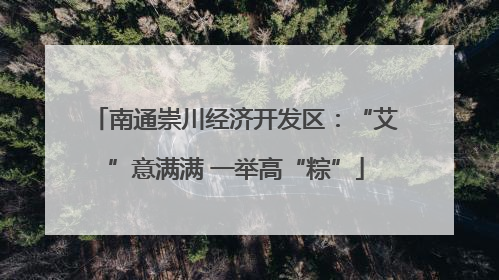南通崇川经济开发区：“艾”意满满 一举高“粽”