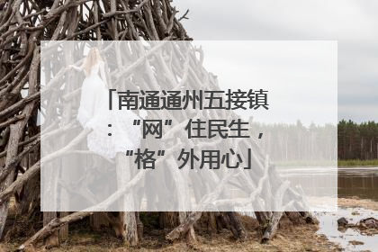 南通通州五接镇：“网”住民生，“格”外用心