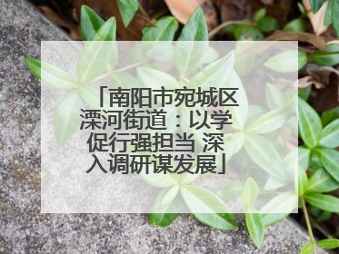 南阳市宛城区溧河街道：以学促行强担当 深入调研谋发展