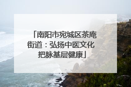 南阳市宛城区茶庵街道：弘扬中医文化 把脉基层健康