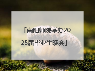 南阳师院举办2025届毕业生晚会