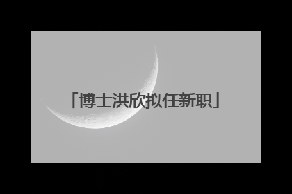 博士洪欣拟任新职
