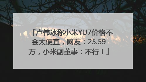 卢伟冰称小米YU7价格不会太便宜，网友：25.59万，小米副董事：不行！