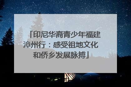 印尼华裔青少年福建漳州行：感受祖地文化和侨乡发展脉搏