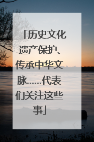 历史文化遗产保护、传承中华文脉……代表们关注这些事