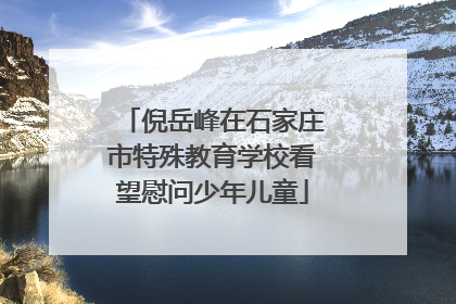 倪岳峰在石家庄市特殊教育学校看望慰问少年儿童