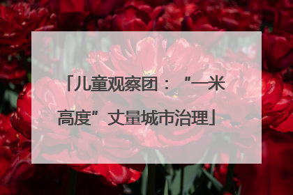 儿童观察团：“一米高度”丈量城市治理