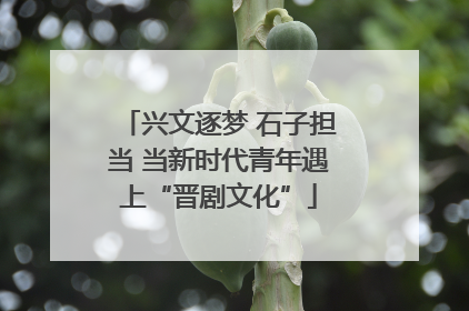 兴文逐梦 石子担当 当新时代青年遇上“晋剧文化”