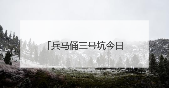 兵马俑三号坑今日正常开放，受损秦俑已移走 观众参观不会受到影响