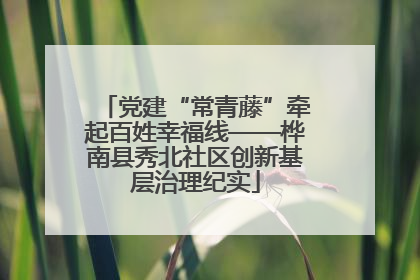 党建“常青藤”牵起百姓幸福线——桦南县秀北社区创新基层治理纪实