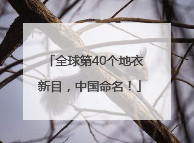 全球第40个地衣新目，中国命名！