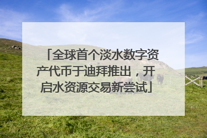 全球首个淡水数字资产代币于迪拜推出，开启水资源交易新尝试