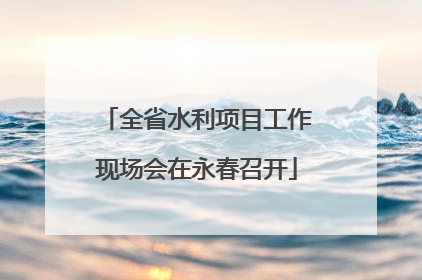 全省水利项目工作现场会在永春召开