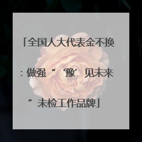 全国人大代表金不换：做强“‘豫’见未来”未检工作品牌
