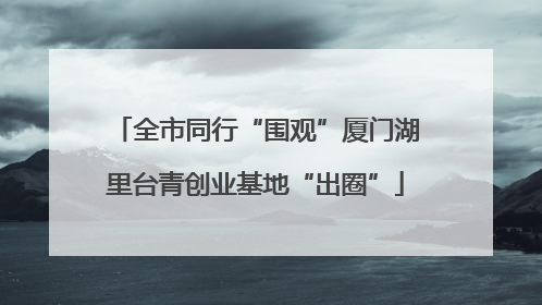 全市同行“围观”厦门湖里台青创业基地“出圈”