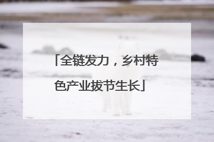 全链发力，乡村特色产业拔节生长