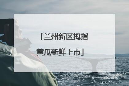 兰州新区拇指黄瓜新鲜上市