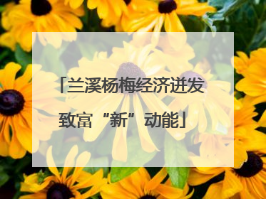 兰溪杨梅经济迸发致富“新”动能
