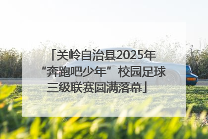 关岭自治县2025年“奔跑吧少年”校园足球三级联赛圆满落幕