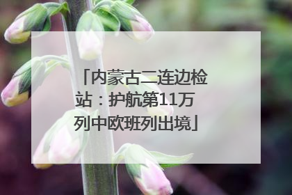 内蒙古二连边检站：护航第11万列中欧班列出境