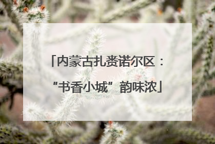 内蒙古扎赉诺尔区：“书香小城”韵味浓