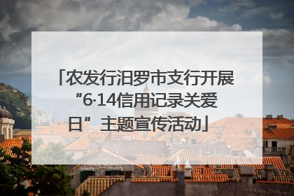 农发行汨罗市支行开展“6·14信用记录关爱日”主题宣传活动