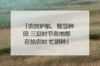 农技护航、智慧种田 三夏时节各地都在抢农时 忙耕种