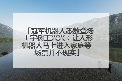 冠军机器人悉数登场！宇树王兴兴：让人形机器人马上进入家庭等场景并不现实