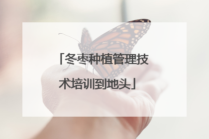 冬枣种植管理技术培训到地头