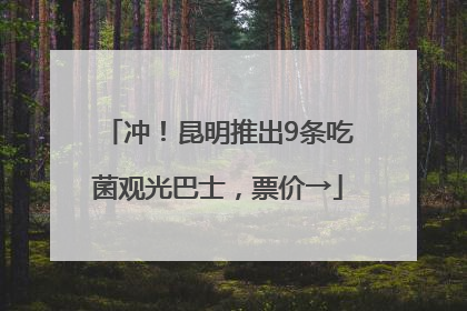 冲！昆明推出9条吃菌观光巴士，票价→