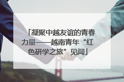 凝聚中越友谊的青春力量——越南青年“红色研学之旅”见闻