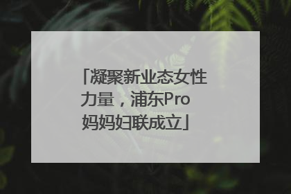 凝聚新业态女性力量，浦东Pro妈妈妇联成立