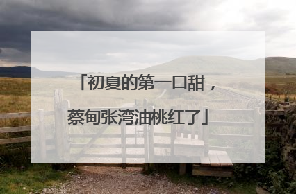 初夏的第一口甜，蔡甸张湾油桃红了