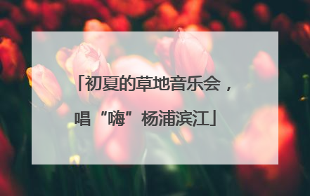 初夏的草地音乐会，唱“嗨”杨浦滨江