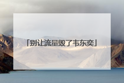 别让流量毁了韦东奕