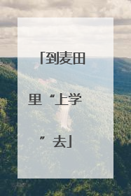 到麦田里“上学”去