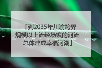 到2035年川渝跨界规模以上流经场镇的河流总体建成幸福河湖