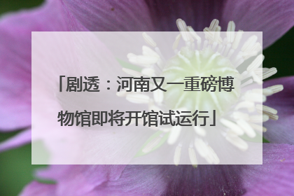 剧透：河南又一重磅博物馆即将开馆试运行