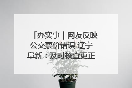 办实事｜网友反映公交票价错误 辽宁阜新：及时核查更正 加强实时巡检