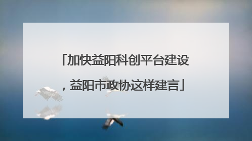 加快益阳科创平台建设，益阳市政协这样建言