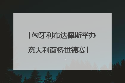 匈牙利布达佩斯举办意大利面桥世锦赛