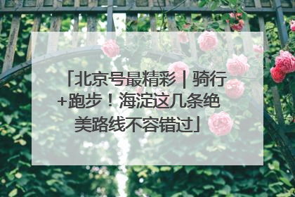 北京号最精彩｜骑行+跑步！海淀这几条绝美路线不容错过