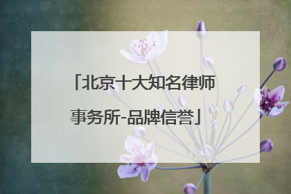 北京十大知名律师事务所-品牌信誉